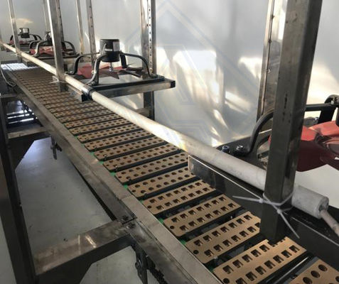 3kw de potencia automática caramelo de azúcar de depósito oso máquina gomosa para la industria alimentaria equipos