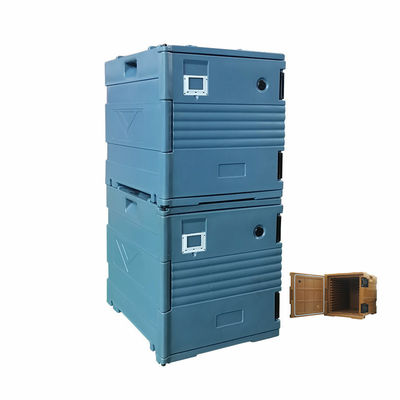 Bolsa más fría / cálida aislada Color personalizado de la caja de transporte de alimentos para sus necesidades