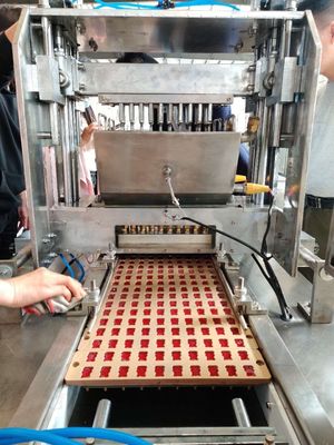 Máquina de fabricación de oso gomoso industrial con alta productividad y función totalmente automática
