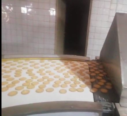 110/220 Transportador de ahorro energético Horno de túnel pequeño para galletas y tortilla de huevo de Real