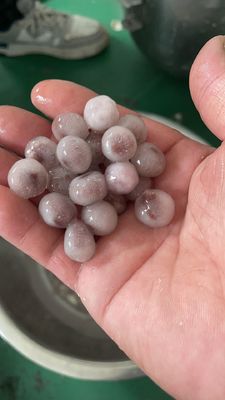 Máquina para hacer bolas de té de bolas comerciales de 220V