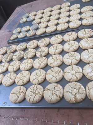 Máquina de procesamiento de galletas industriales con función multifunción