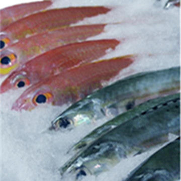 Apoyo en línea Máquina duradera para hacer hielo de escoria para automática a bordo / tierra