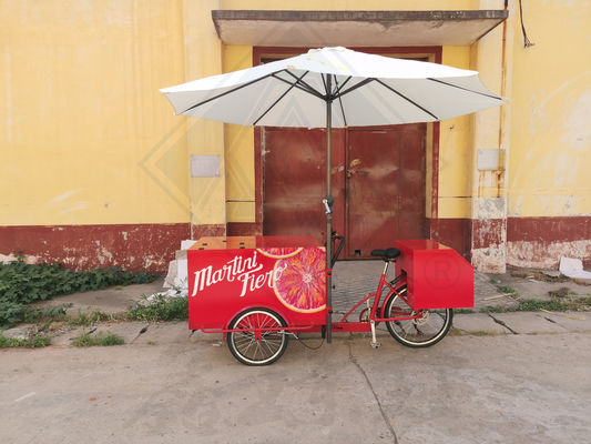 Video Soporte Técnico Carrito Vendedor Bicicleta de helado con batería Tienda de alimentos Bicicleta electrónica de alimentos