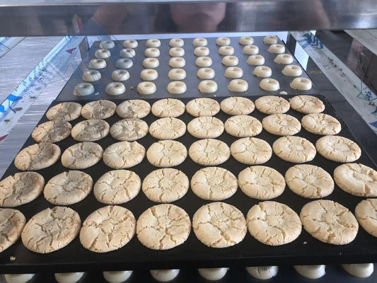 Fabricante de galletas industriales multifuncionales con funcionalidad multifuncional