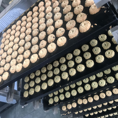 Máquina automática para hacer galletas de nuez suave con diferentes capacidades de producción