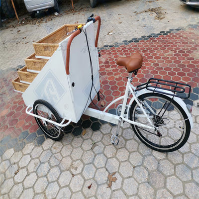 Comida conveniente Carrito de bocadillos de tres ruedas Europa Perrito caliente Pan Vending Bike para el mercado