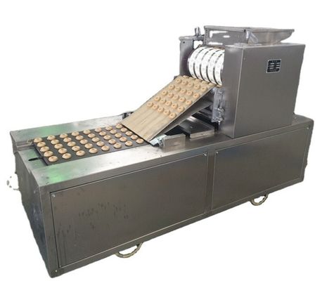 Máquina de elaboración de galletas industrial totalmente automática para la producción de galletas y galletas