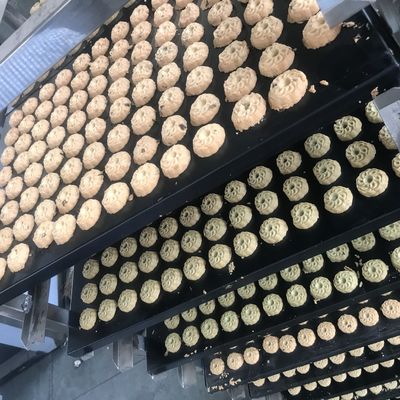Máquina avanzada de fabricación automática de galletas de pastel de nuez para la industria panadera