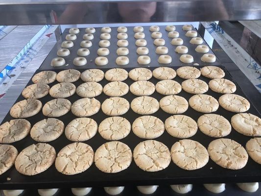 Máquina para hacer galletas de galletas a base de vegetales para la producción de galletas redondas de mantequilla crujiente