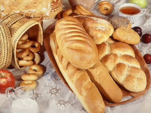 Máquina de procesamiento de alimentos horno rotativo de un paso para galletas pasteles y pan a un precio asequible