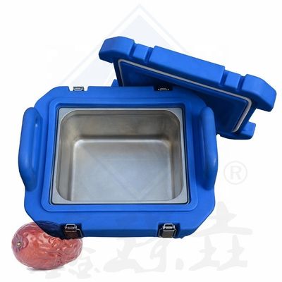 Restaurantes que sirven plato de raspadura Cajas de almacenamiento aisladas de trabajo pesado con forro térmico