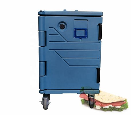 Color personalizado aislado de los pescados de las bolsas de enfriador de la caja para alimentos congelados restaurante aislado